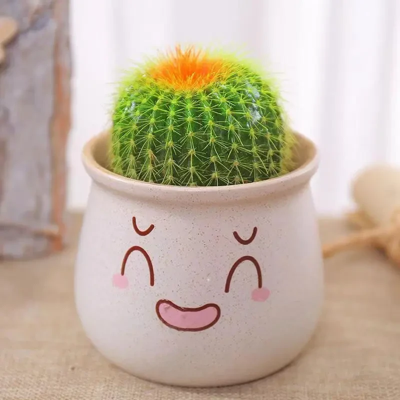 带盆栽好金冠仙人球盆栽桌面室内仙人掌盆栽好养多肉植物防辐射