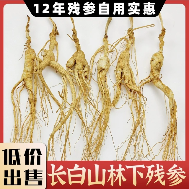 正宗12年东北林下参长白山人参林下参残参干货人参泡酒专用中药材