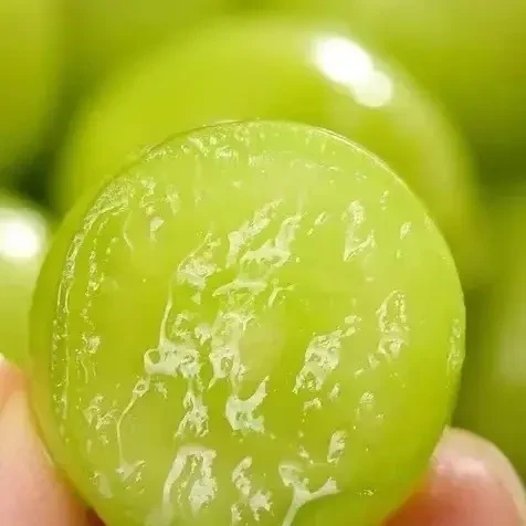 新鲜当季阳光玫瑰葡萄9.9元3斤脆甜多汁四川省