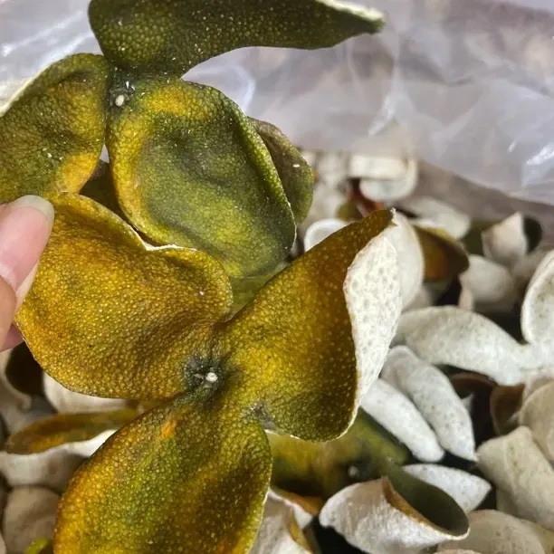 2025 年冬青皮陈皮 浦北茶枝柑