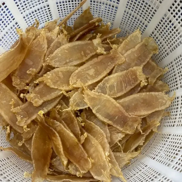 南澳自晒滋补的深海鳘鱼母胶干货