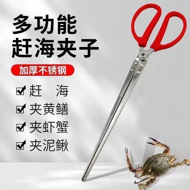 D新款不锈钢黄鳝夹鳝鱼钳泥鳅螃蟹龙虾夹防滑赶海神器