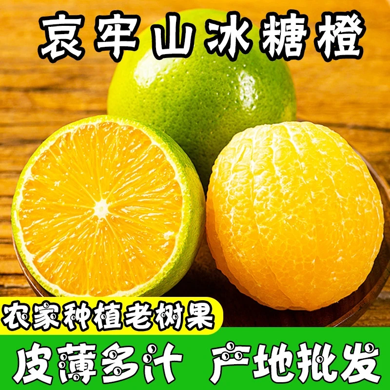 正宗云南哀牢山青皮冰糖橙应季新鲜孕妇水果现摘现发薄皮爆甜多汁