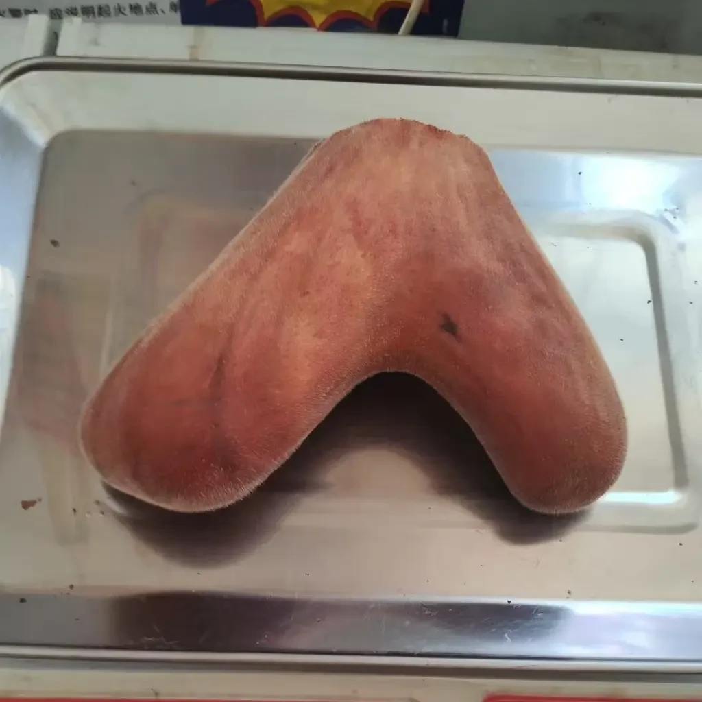 东北鹿乡头茬新鲜带血鹿茸可煲汤泡酒炖菜滋补佳品