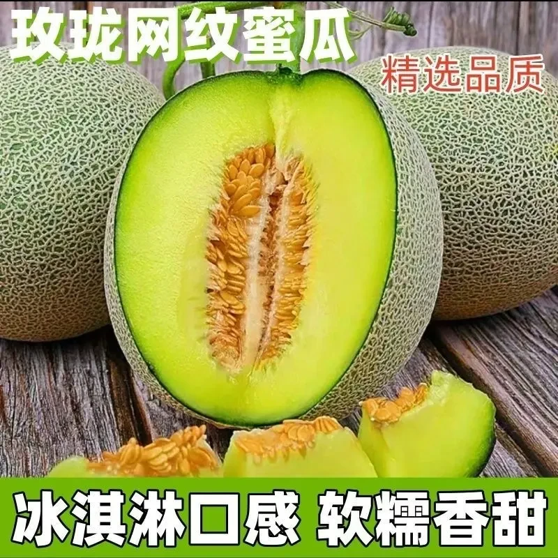 正宗山东冰淇淋网纹瓜玫珑瓜哈密瓜当季新鲜水果玫珑甜瓜头茬蜜瓜