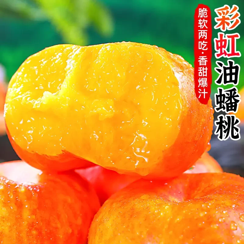 正宗蒙阴彩虹奶油蟠桃4.5斤扁桃子新鲜水果应当季潘桃甜蜜桃包邮
