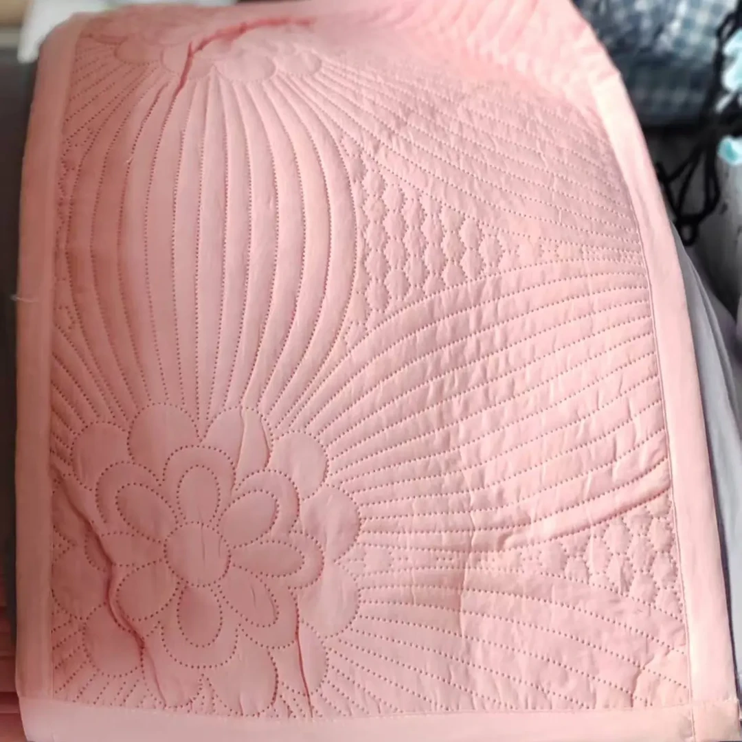 粉丝蓝色枕套一对