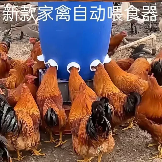 鸡鸭喂喂料器新型加厚自动下料器懒喂料桶人家禽喂鸡自动喂食器