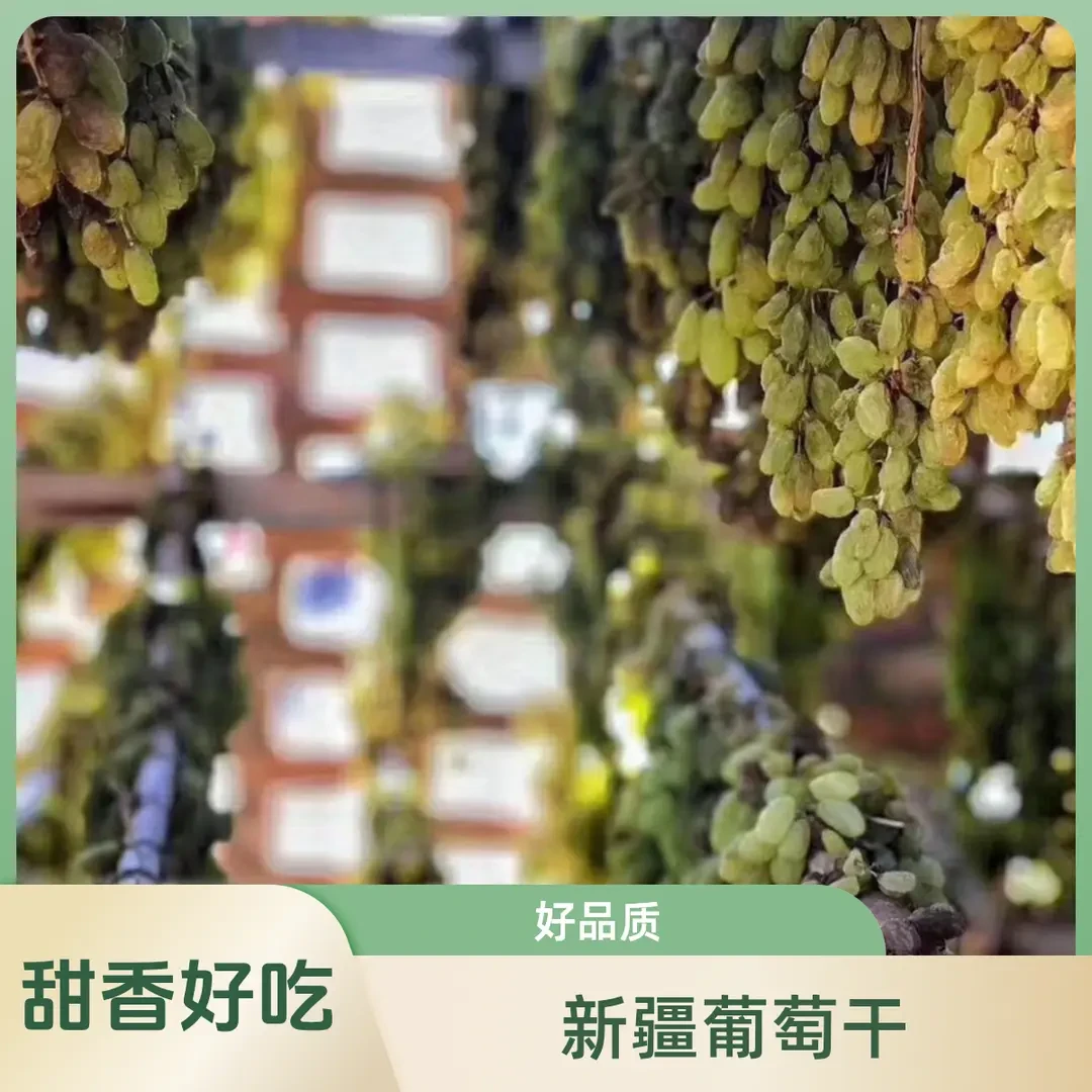 新疆红香妃 绿香妃葡萄干 天然晾晒 好吃香甜500g