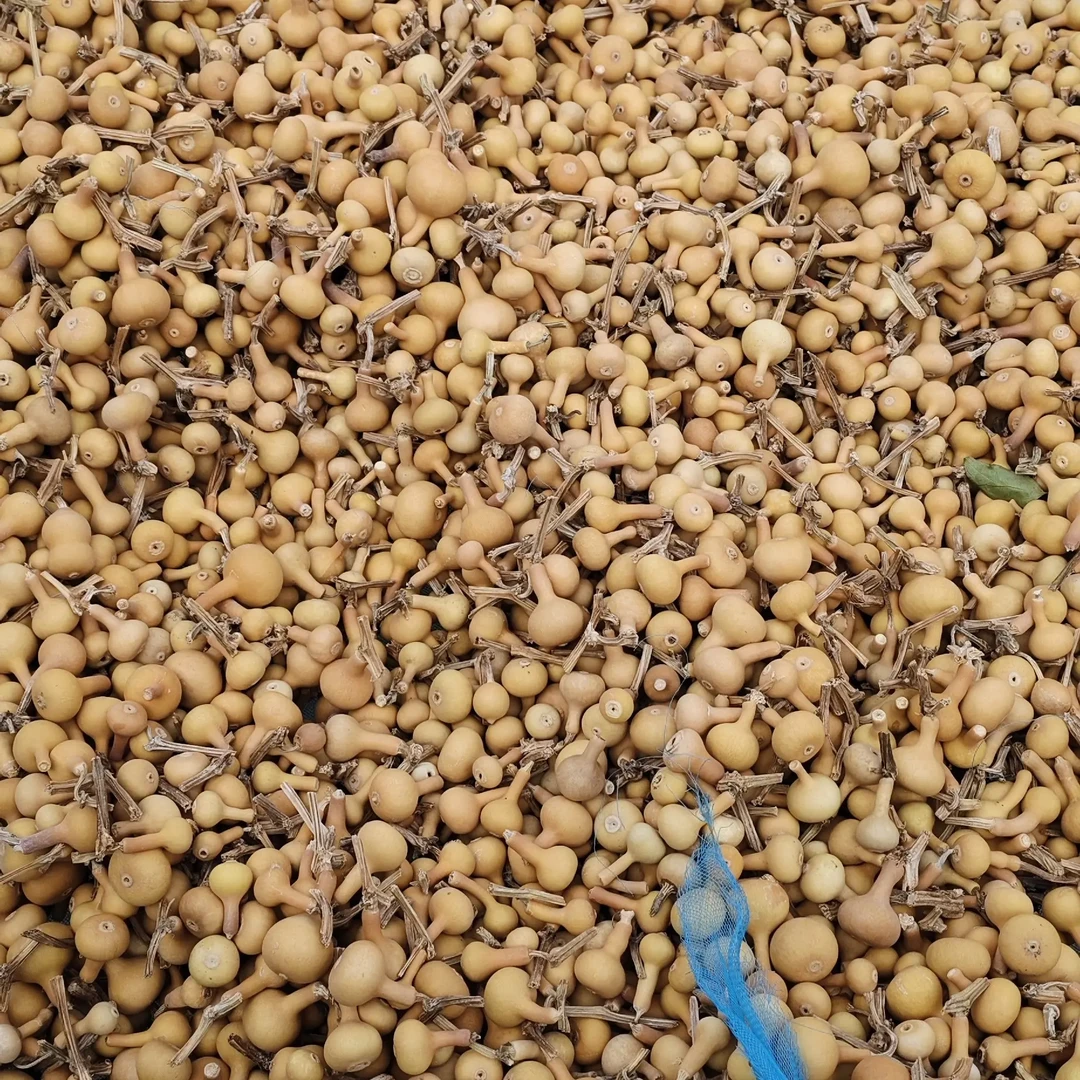 小独把葫芦 一元一个 一百个起批