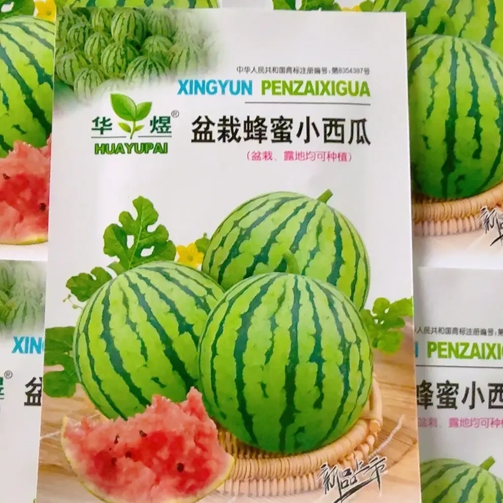 早熟高产盆栽蜂蜜小西瓜 20粒