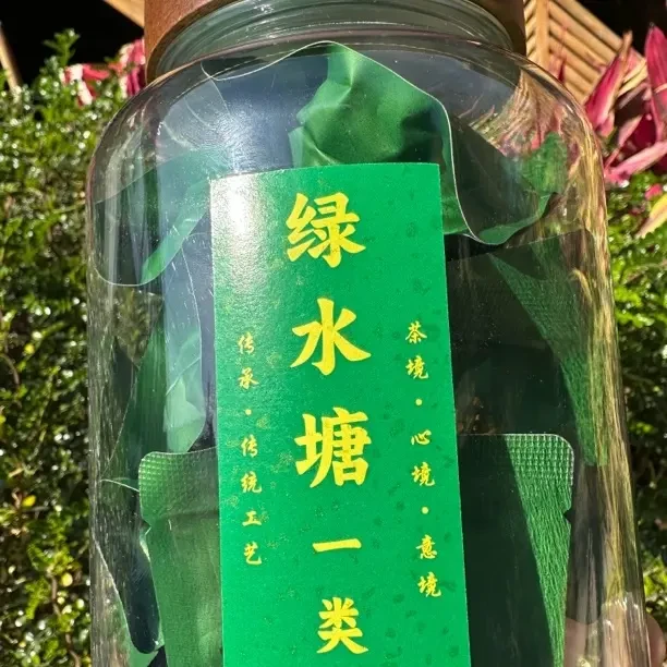 【绿水塘】勐库茶区2023年普洱茶春茶龙珠16颗