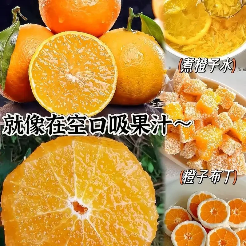 四川爱媛38号果冻橙新鲜当季水果薄皮无籽甜橙（专属顺丰包邮）