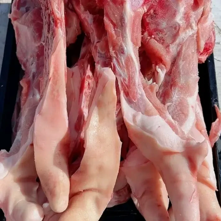 猪尾骨~东北笨猪尾骨新鲜现切精修少油带短尾美味红烧食材