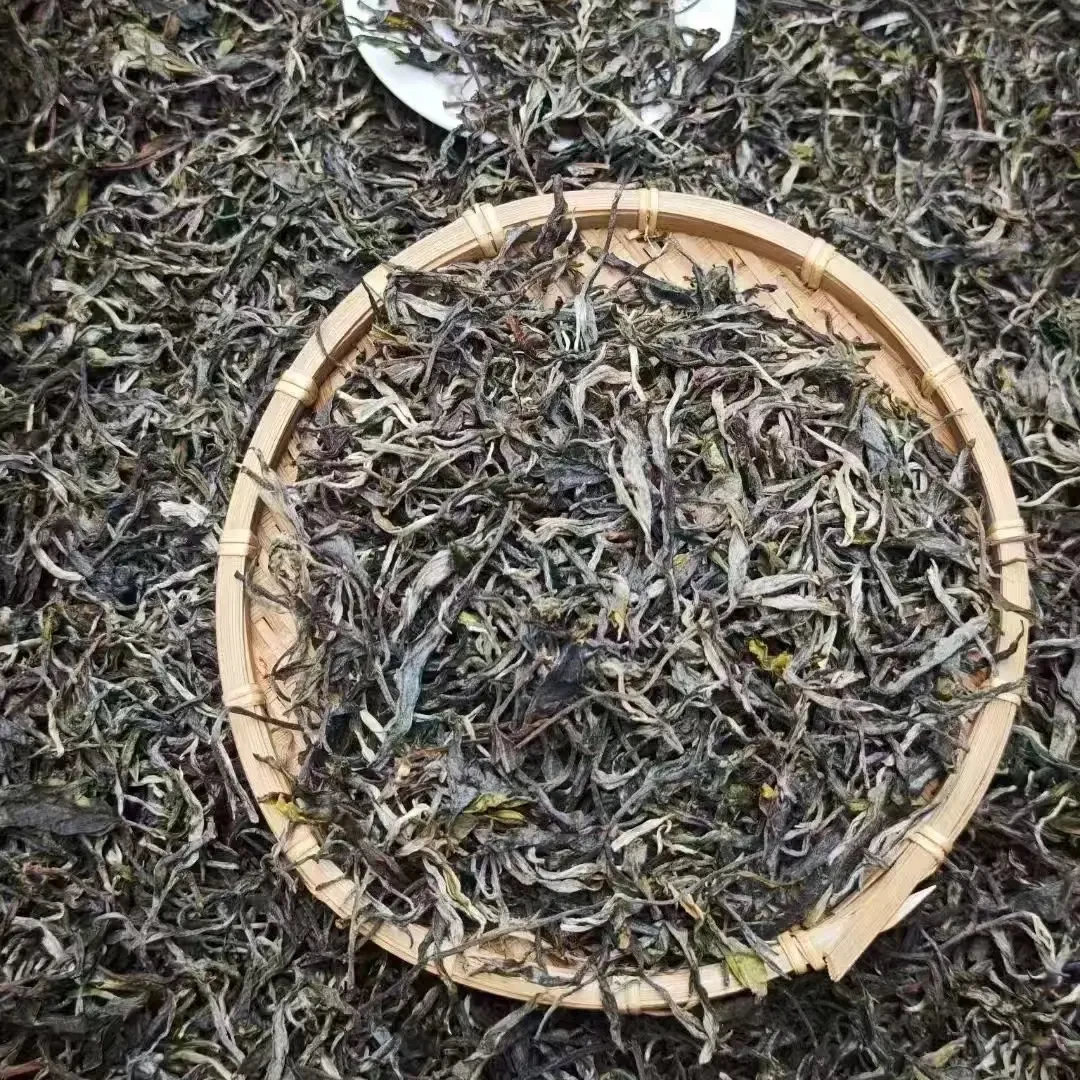 曼囡老寨古树秋茶单珠（苦茶种）