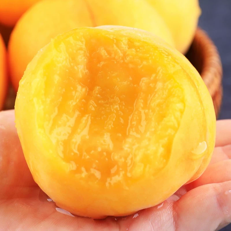 黄金蜜黄桃新鲜当季水果黄肉蜜桃香甜爆汁