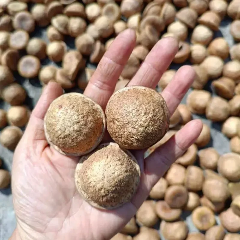 广西野生石头果干果原产地发货天然晾晒干货特产