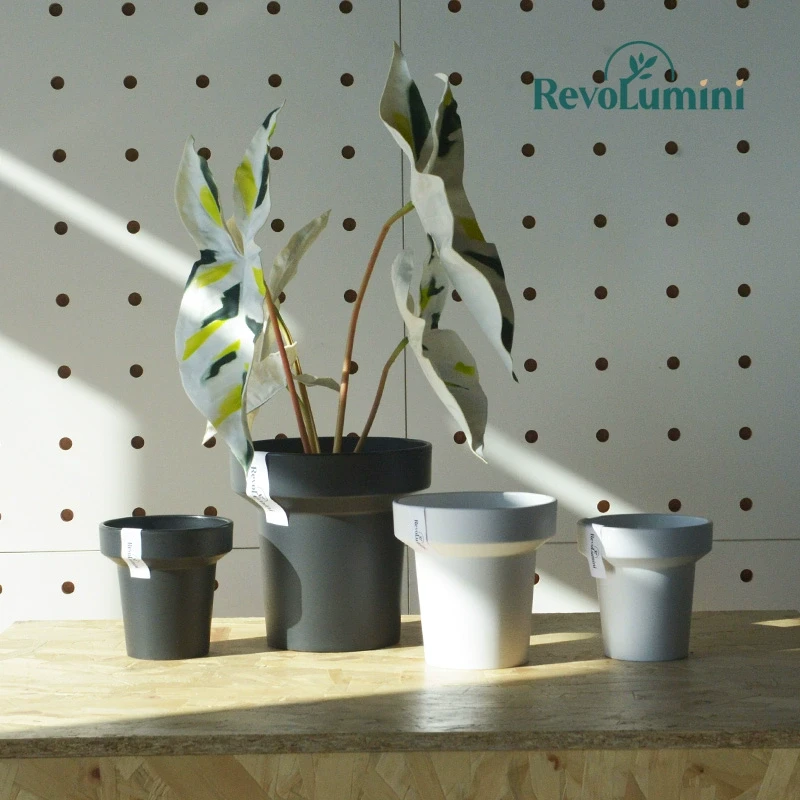 热植花盆黑色蝴蝶兰花专用黑胶盆多肉仙人球植物套盆小号日式简约