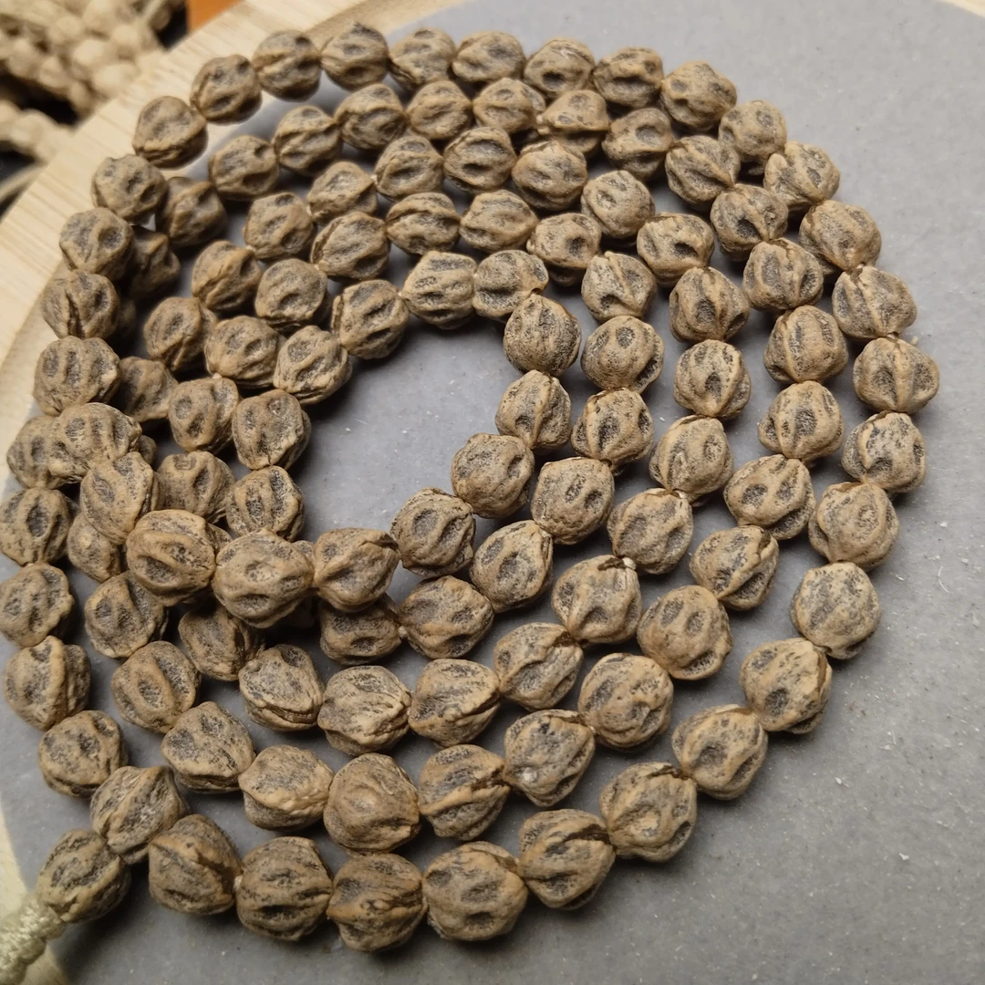 原桩红芽油皮百香籽 高油高密特色款