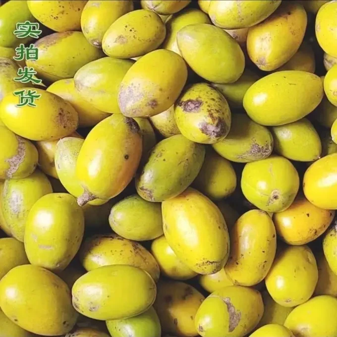 潮汕特产三捻橄榄可生吃煲汤泡酒新鲜橄榄鲜果
