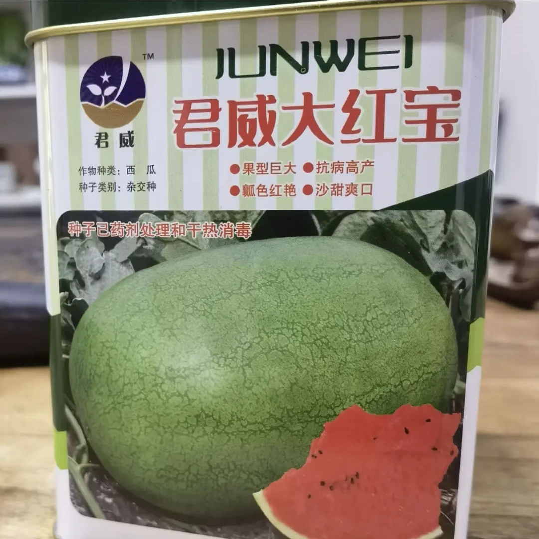 绿皮新红宝西瓜种子，砂甜爽口（每盒1000粒）