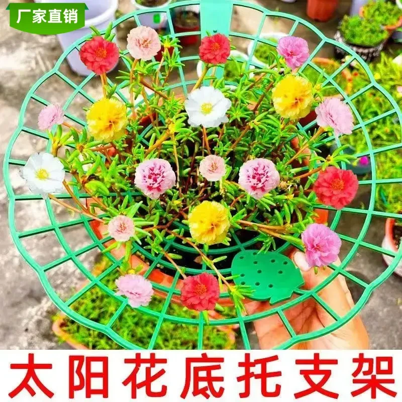 太阳花架草莓架防倒伏果实托架园艺种植圆形拼接盆栽支撑造型支架