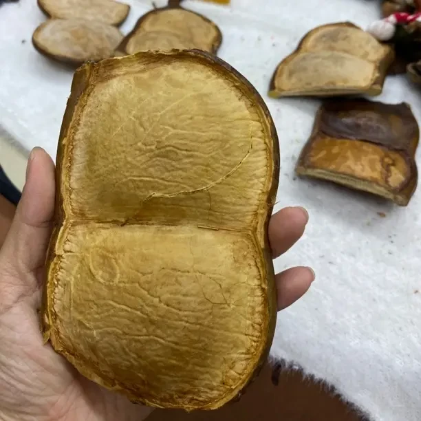 白色小兔和小狗豆荚（默认微瑕，不退不换）