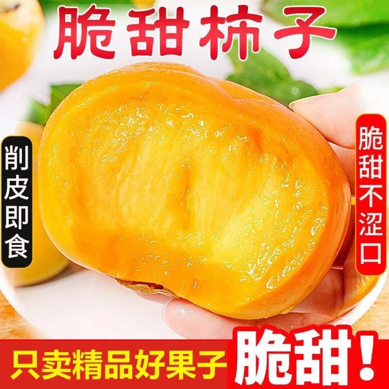 【爆甜】正宗阳丰甜脆柿子现摘新鲜水果无核冰糖甜柿包邮批发巧克力