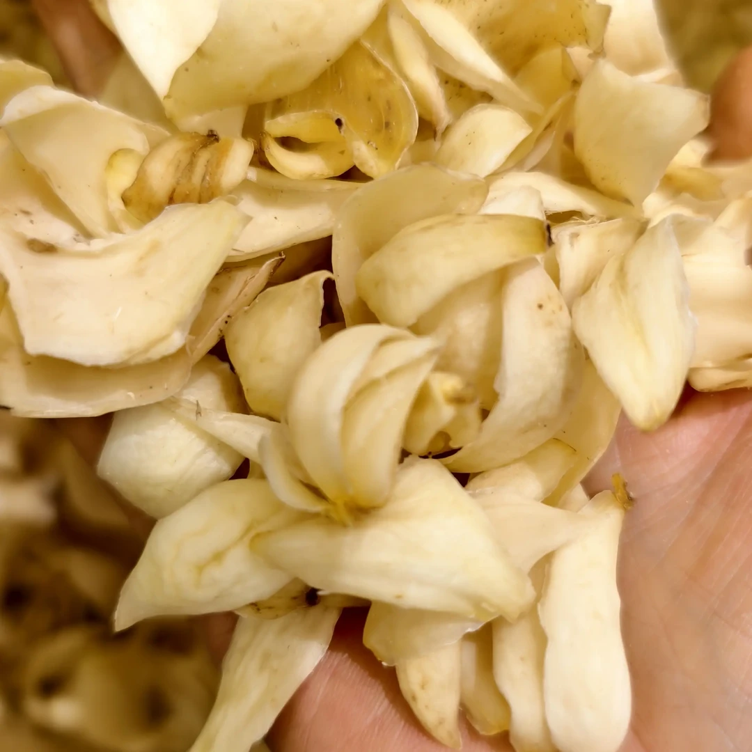 隆回新鲜无硫百合干可煲汤煮粥食用的农家干货干百合