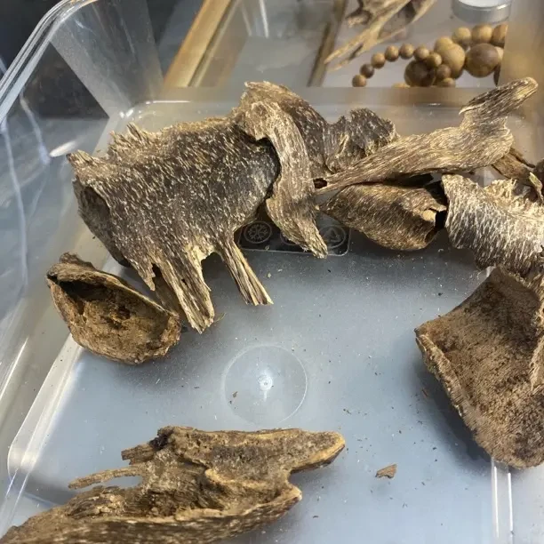 鸡母漏品香料可熏香