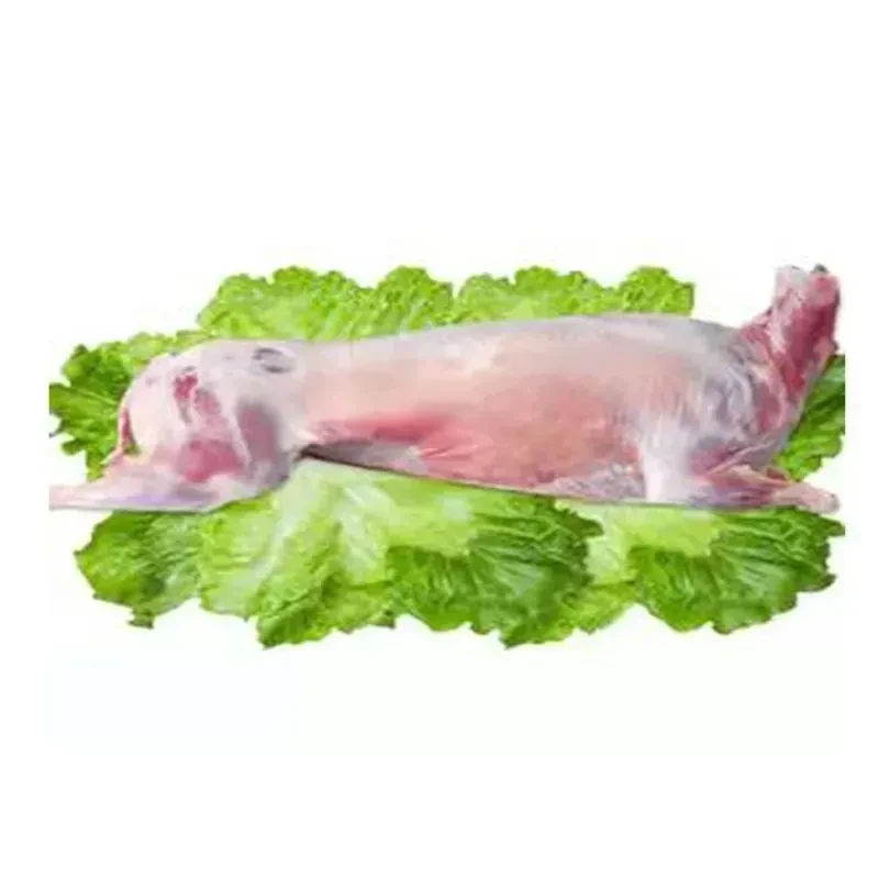 白条羊(冰鲜）约2000g/份（部位随机）