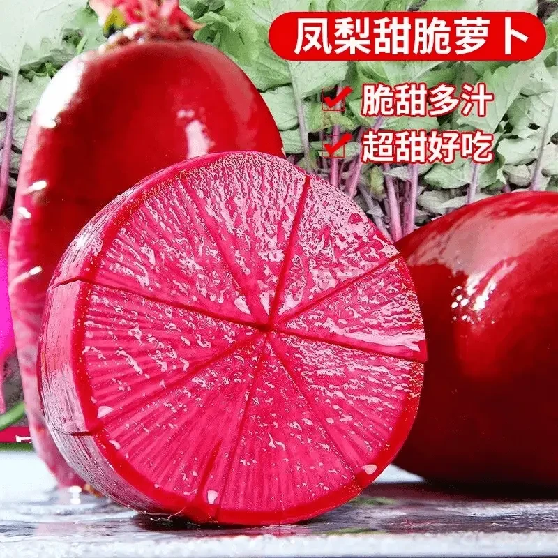 凤梨萝卜种子甜脆水果红皮红心萝卜籽阳台盆菜种孑