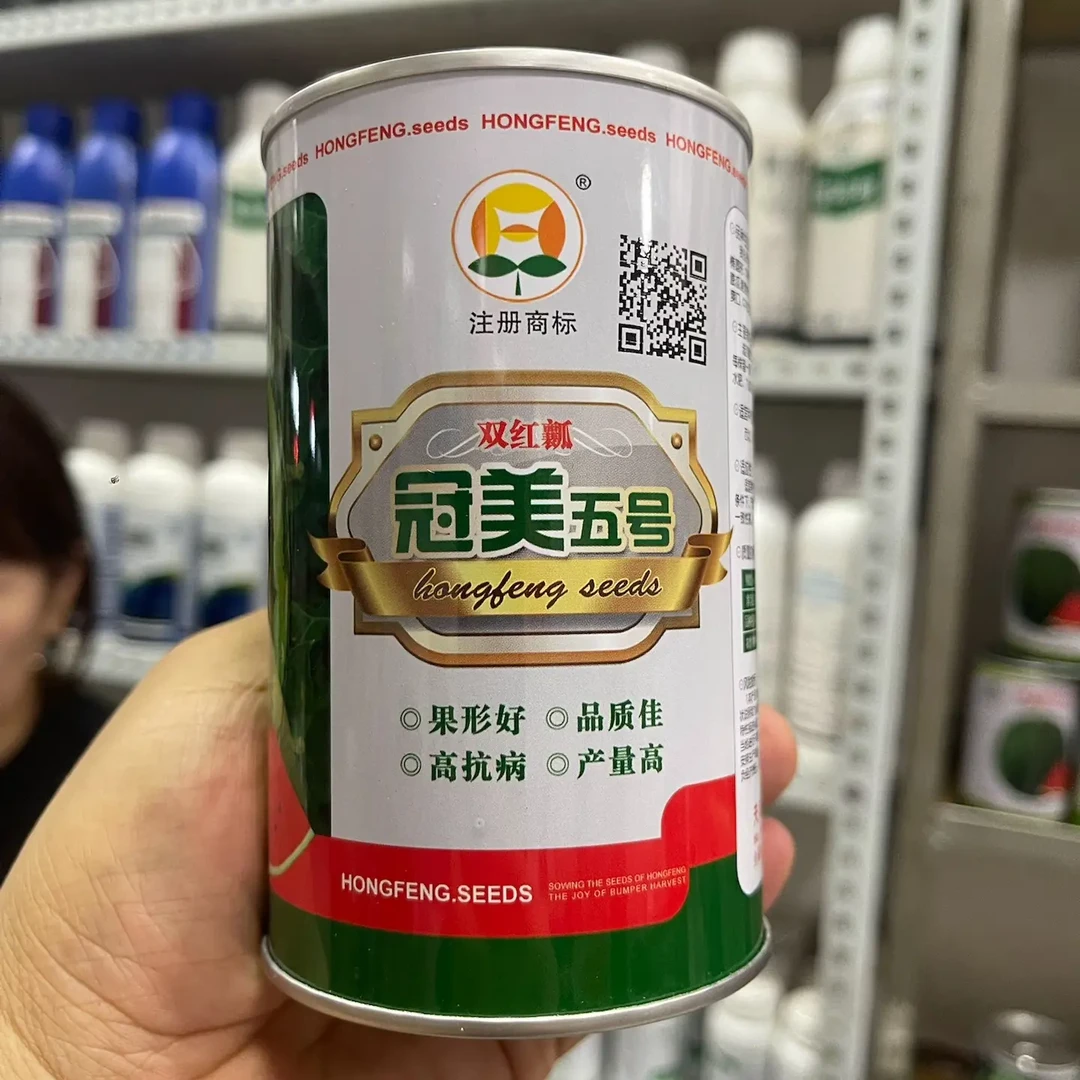 冠美5号西瓜种子皮薄瓤红抗病