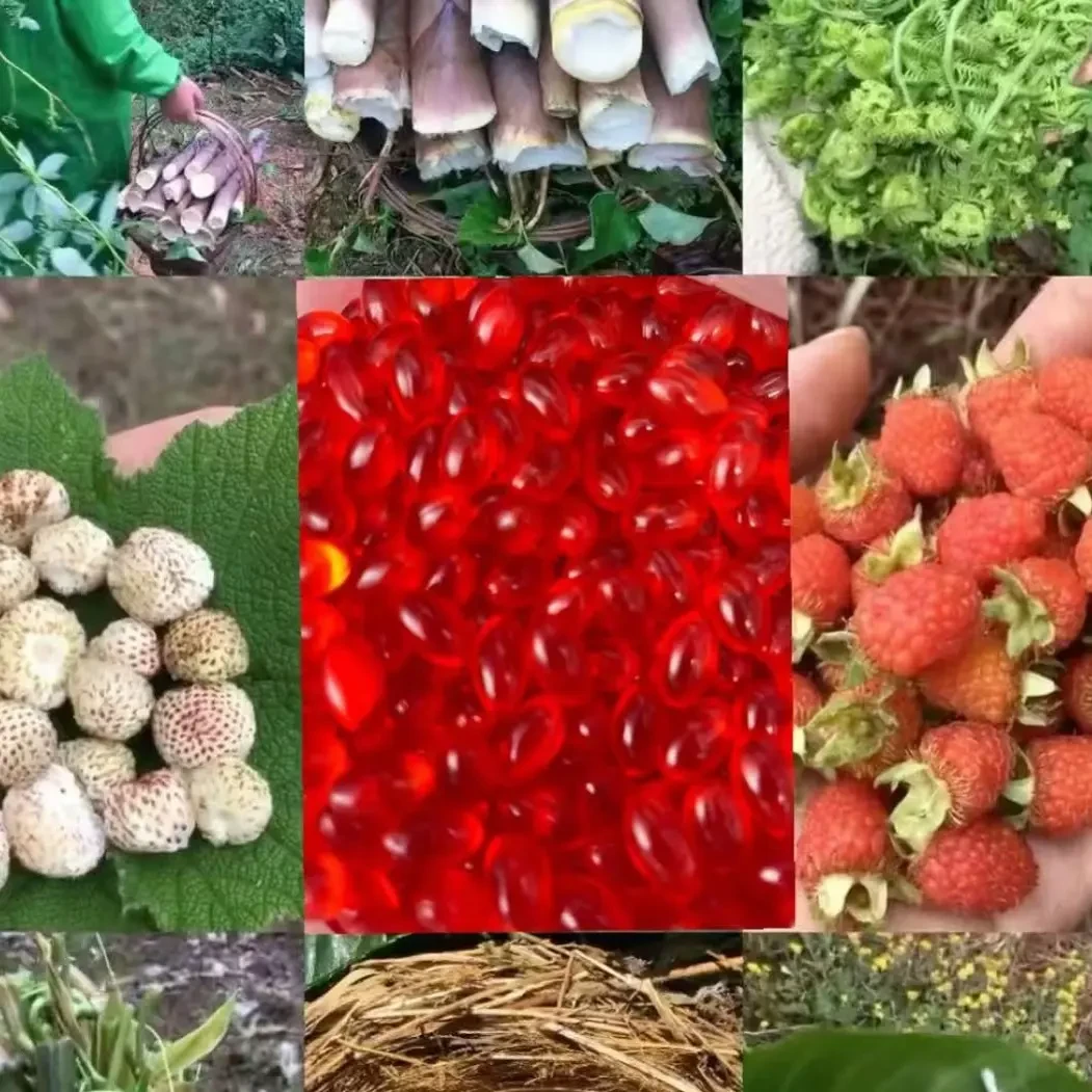 云南边境土特产～J油