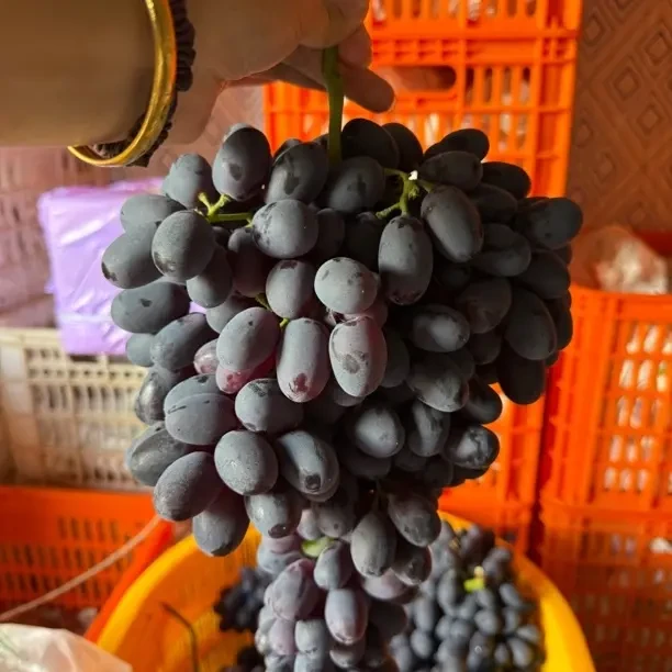 紫皇无核顺丰直达当季水果