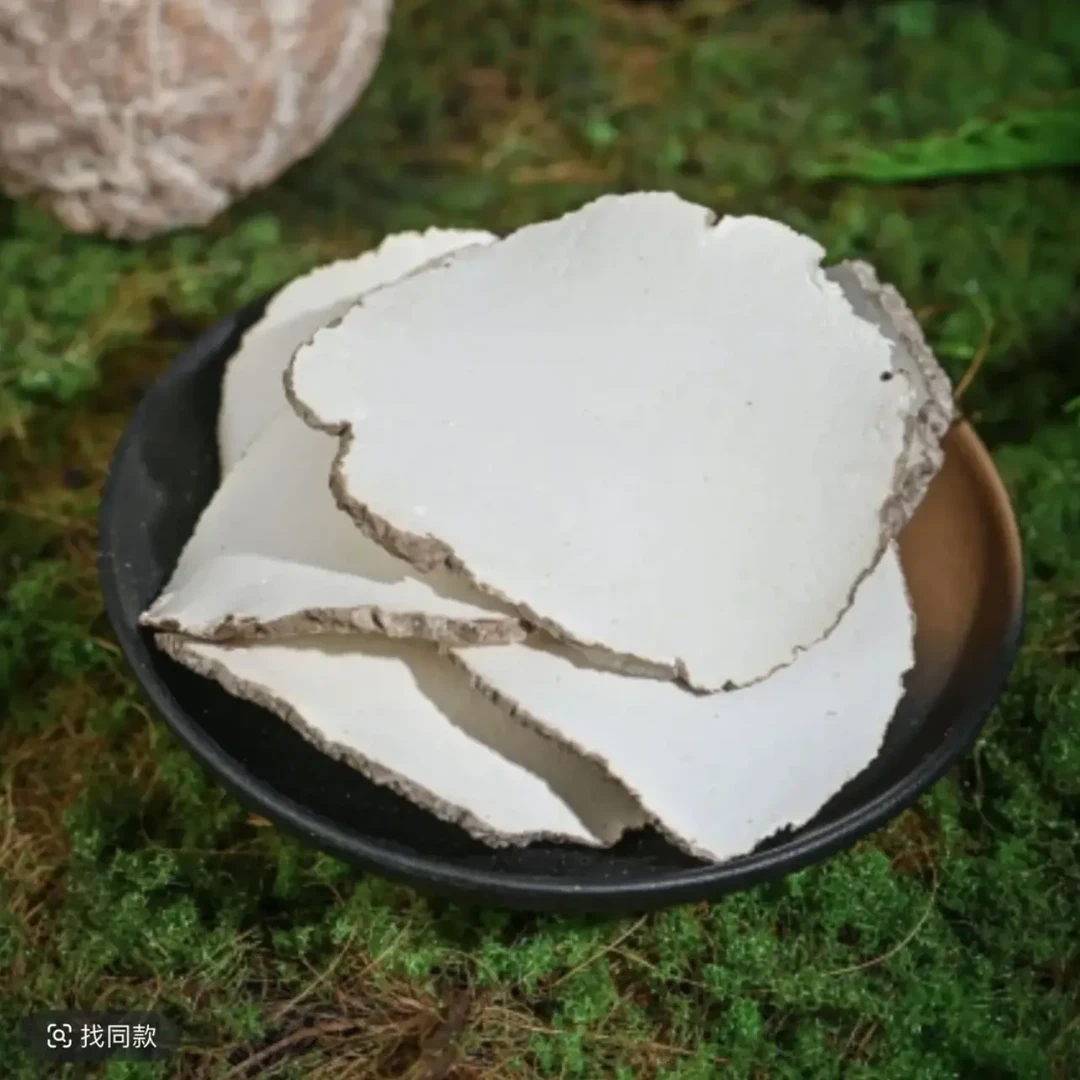 虎乳菌 集市现收 可煲汤煮水搭配茯苓