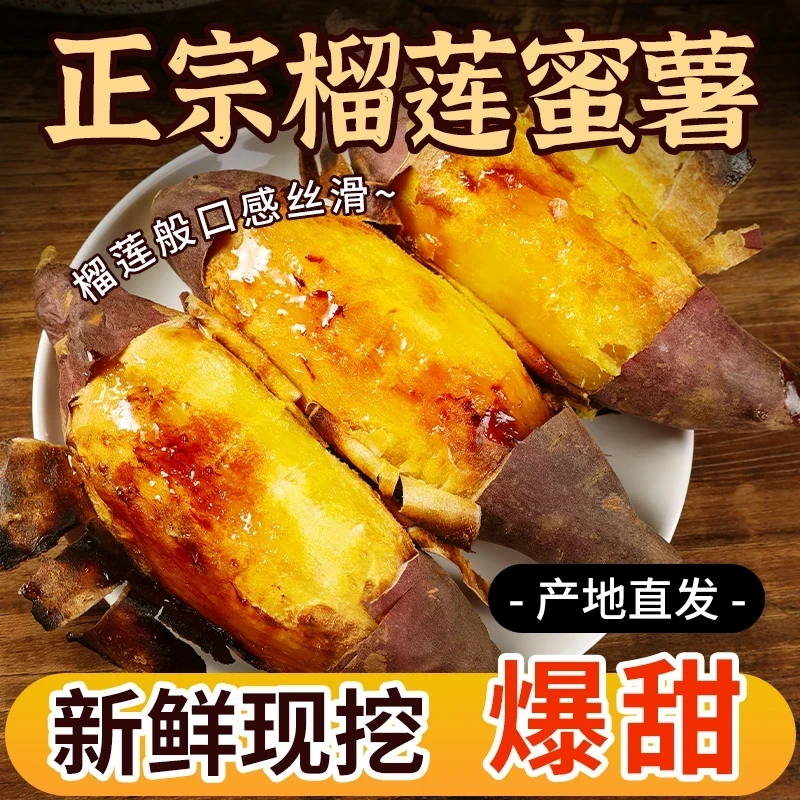 薯掌心榴莲蜜薯现挖新鲜红薯番薯黄心流油烤地瓜软糯甜美健康零食