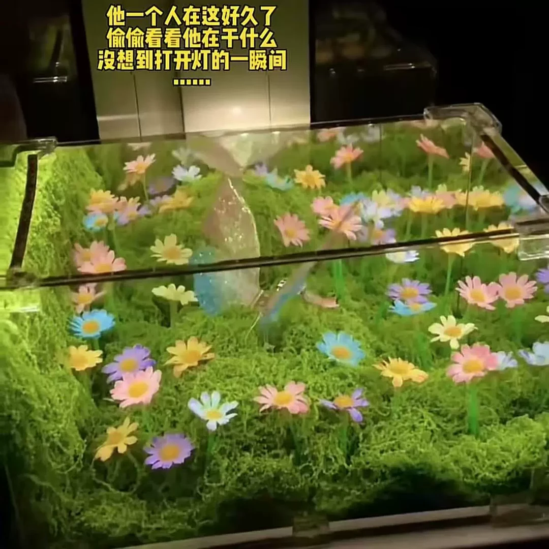 春日蝴蝶夜灯手工diy自制材料包卧室氛围灯女友520情人节礼物新款