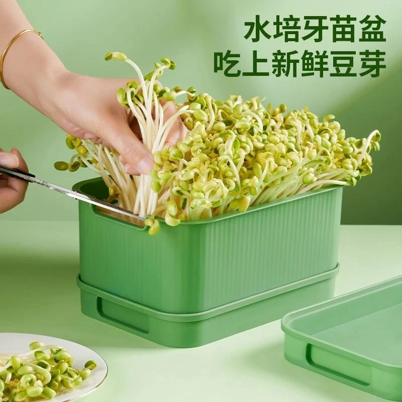 【原版尺寸】发豆芽神器快速发豆芽家用种植水培豆芽盆发芽机收纳盒