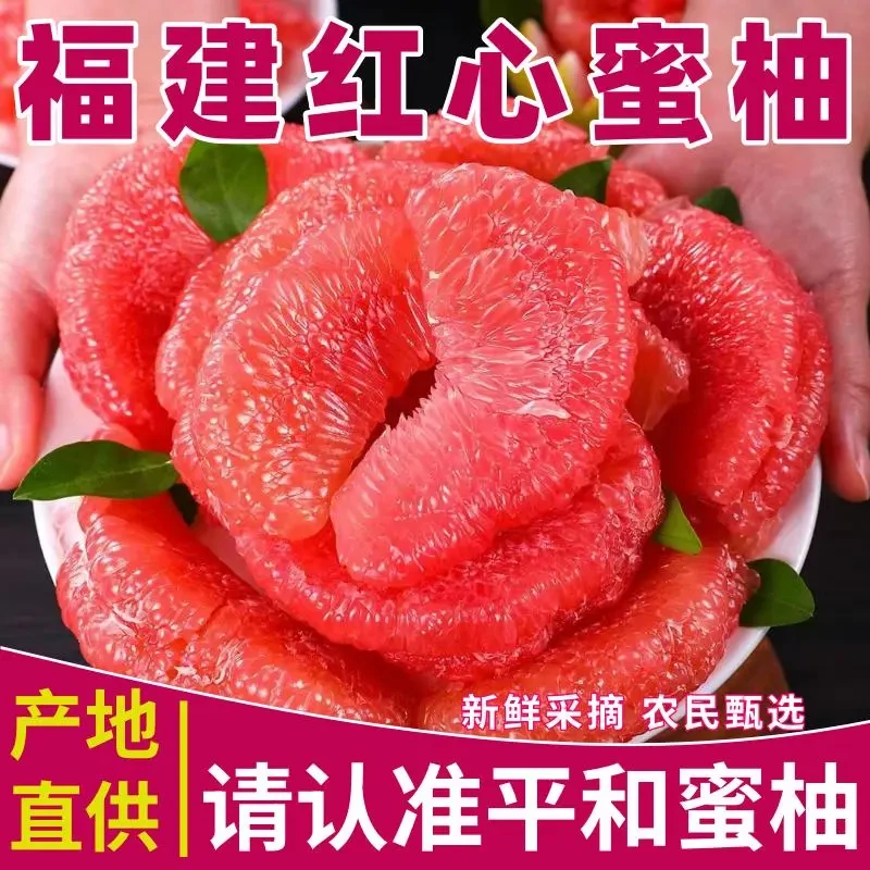 【半价抢9斤】正宗福建和红心蜜柚当季新鲜水果薄皮柚子整箱批发