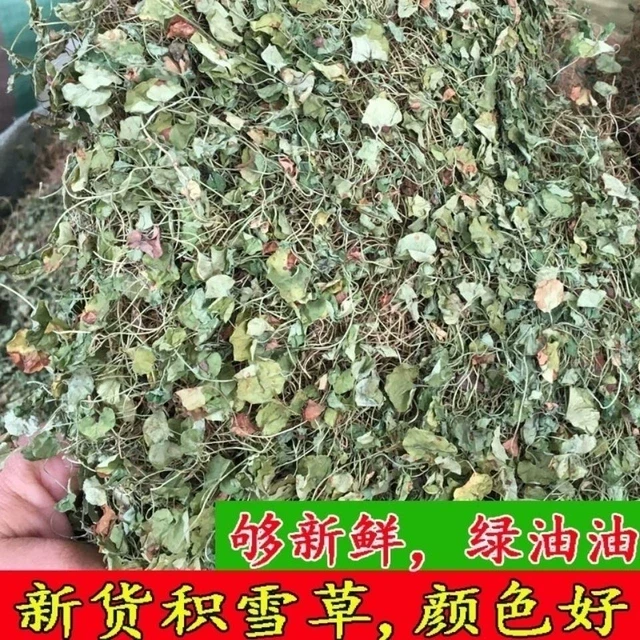 积雪草新货农家干货雷公根干崩大碗满天星中药材清热新鲜晒干
