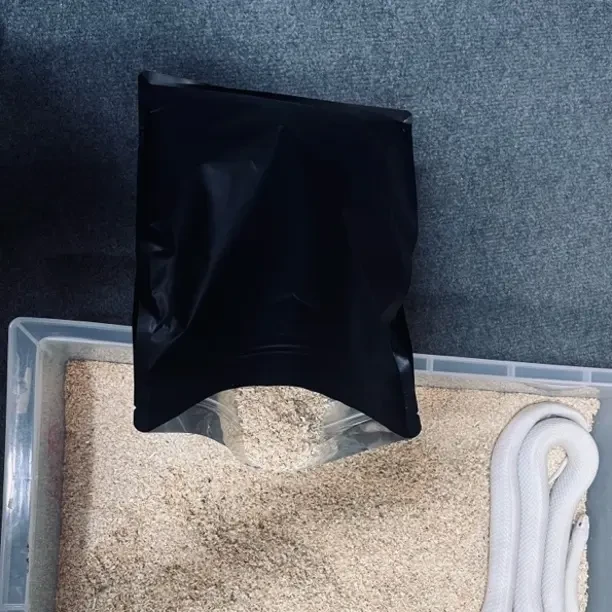 玉米蛇王蛇牛蛇木屑垫材一斤半