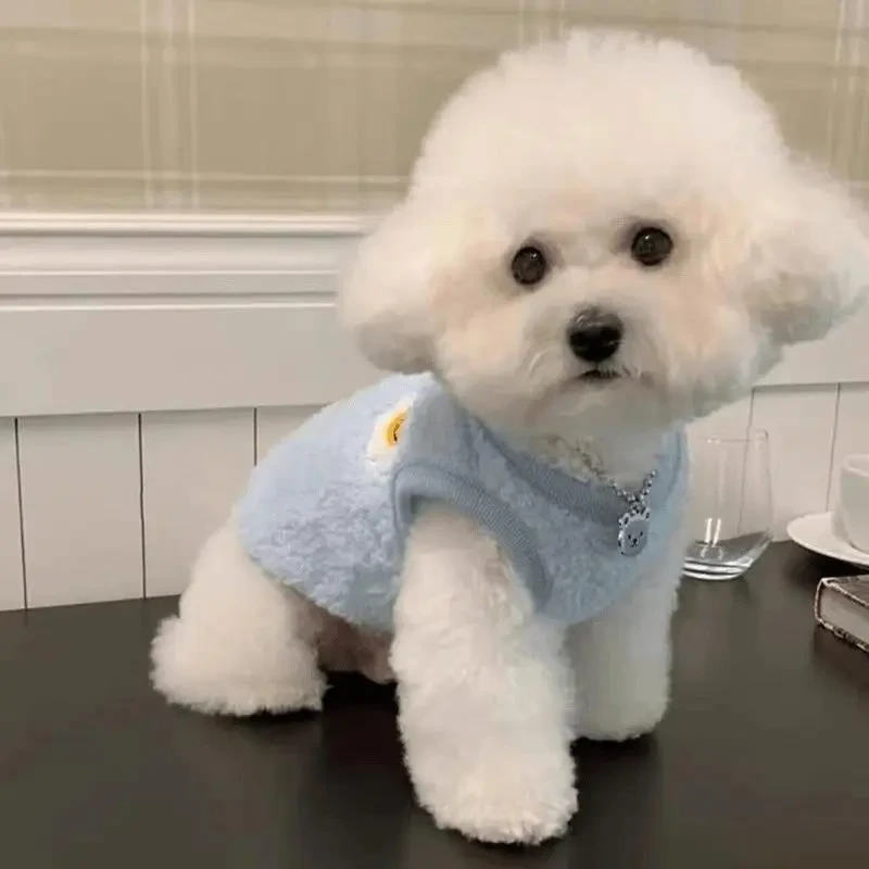 狗狗衣服泰迪比熊博美雪纳瑞小型幼犬猫咪2024秋冬新款-菲菲专场