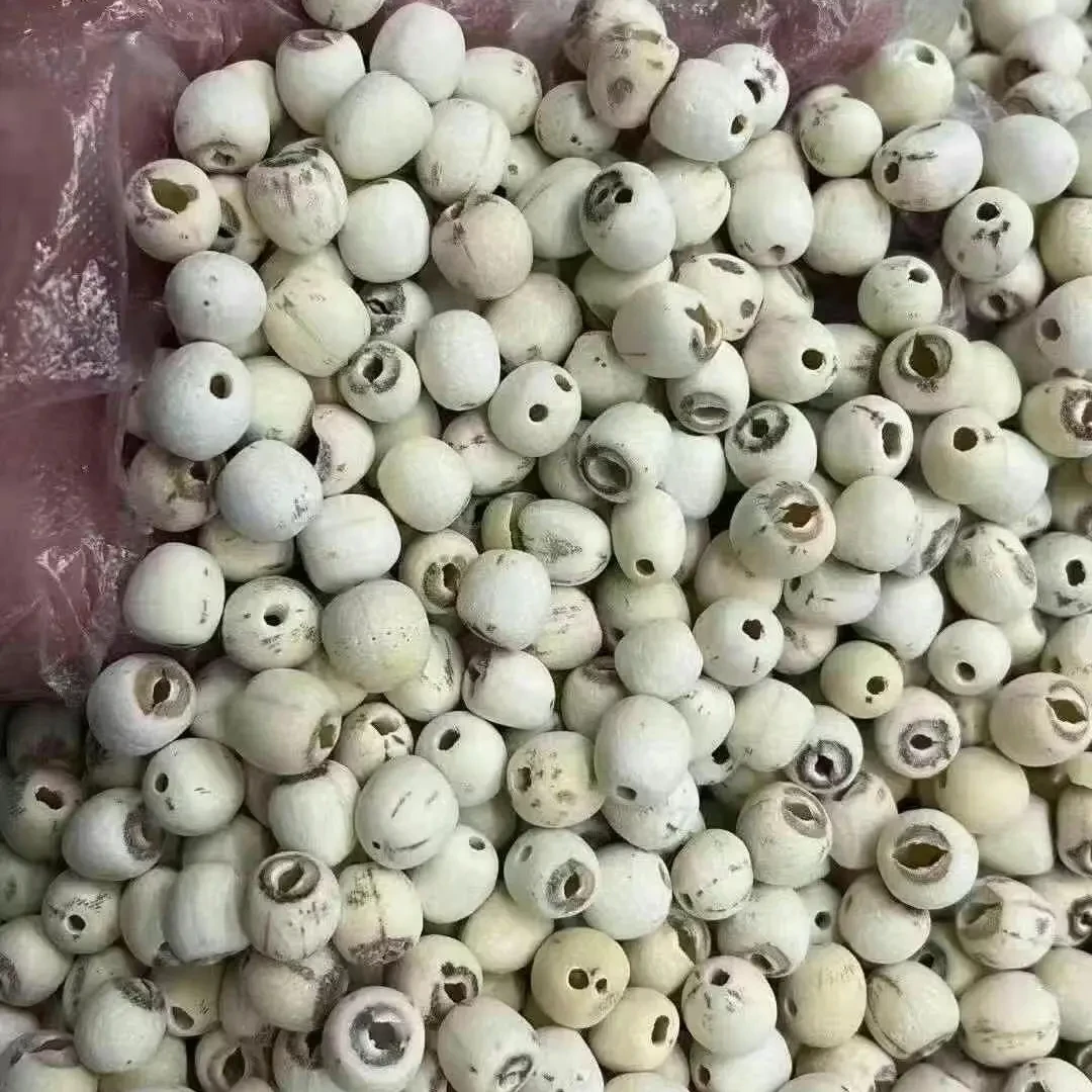 《莲子》土特产干货