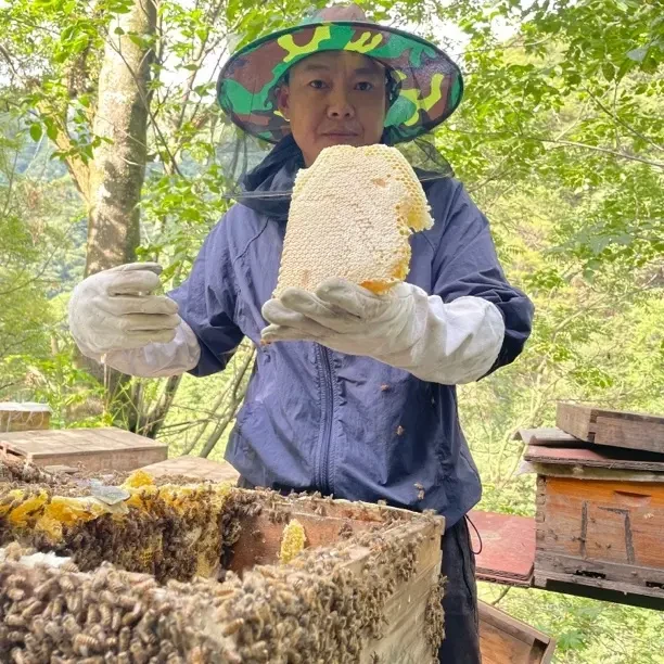 深山百花蜜自然成熟花香蜜香天然酿造巢蜜