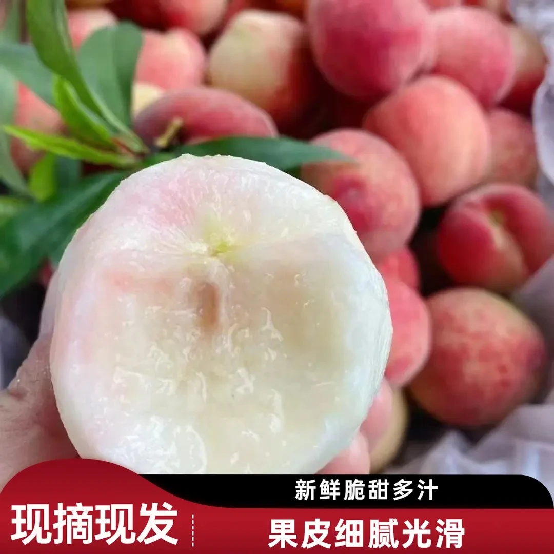 【新鲜现摘】头茬水蜜桃毛桃脆软酸甜应当季脆桃白肉毛桃子新鲜水果