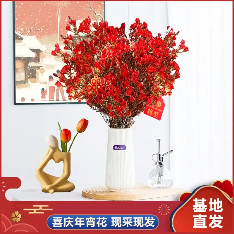 【红色腊梅+花瓶+保鲜剂】鲜切澳洲腊梅花卉情人节家居插花室内客厅