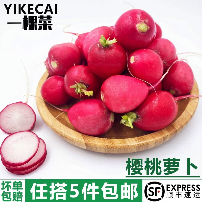 【YIKECAI】樱桃萝卜250g-500g 迷你小红萝卜 菜新鲜蔬菜小圆萝卜