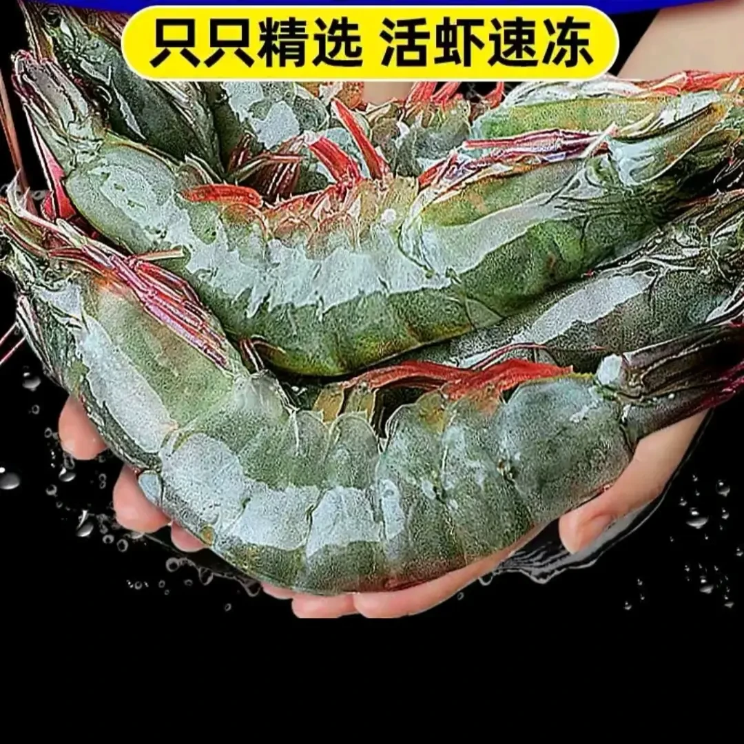 大号红毛海水虾（礼盒款）10到12个一斤