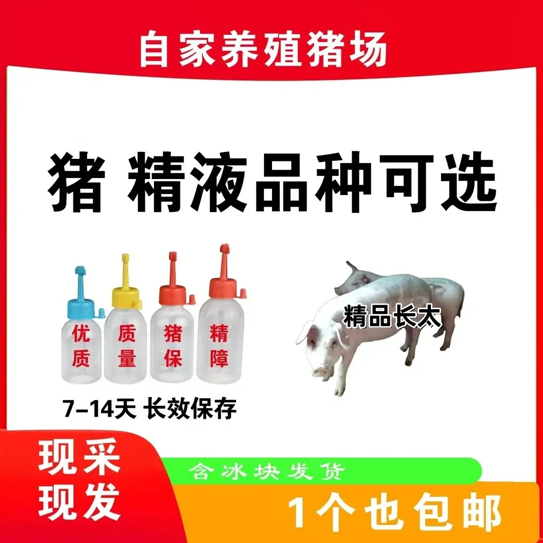 长太种公精液一件包邮包对版生态养殖批发输精管猪用耗材